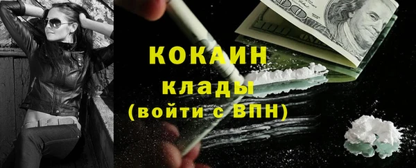 прущие грибы Алексин